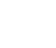 pt-icon