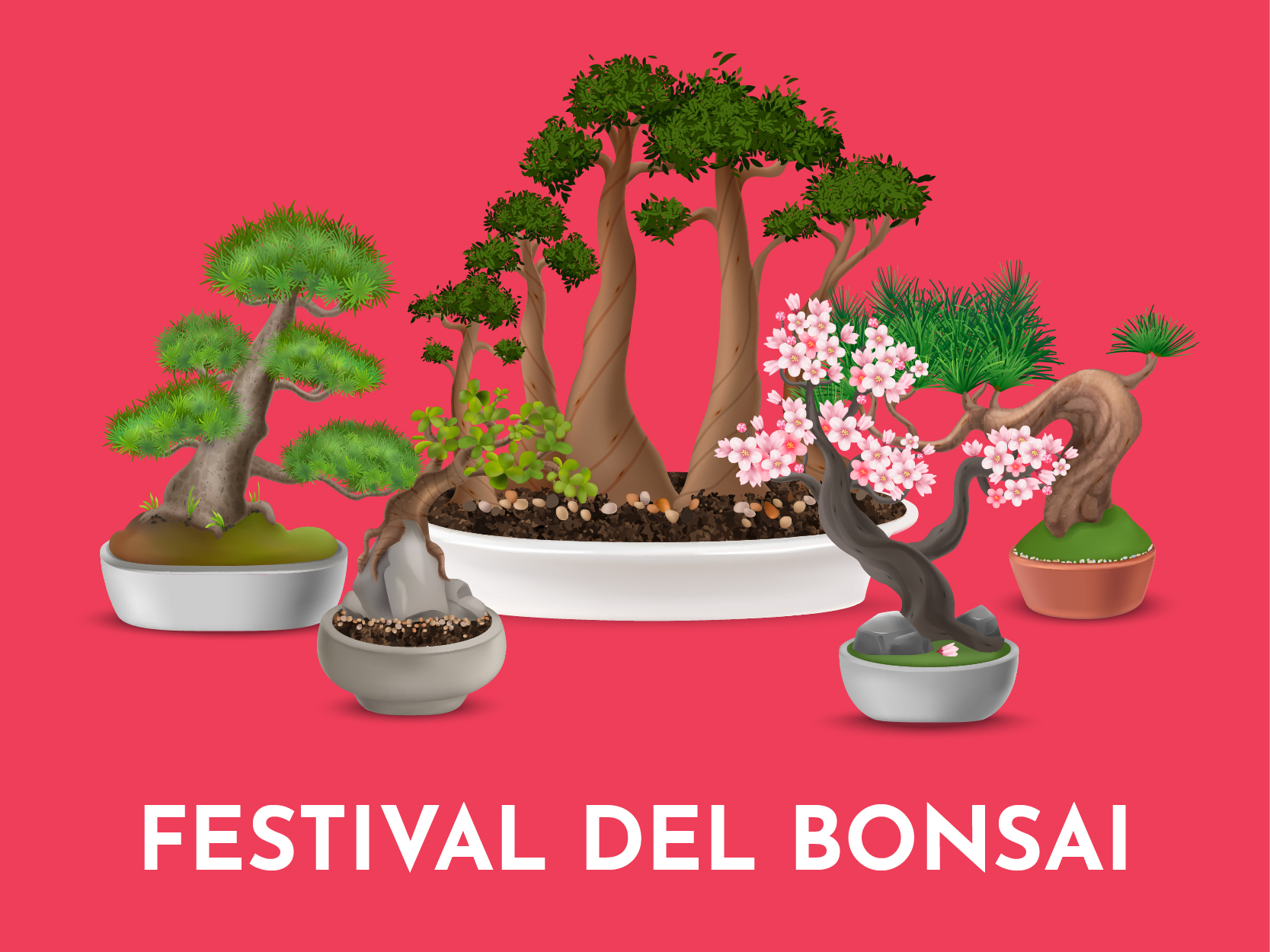 Festival del Bonsai