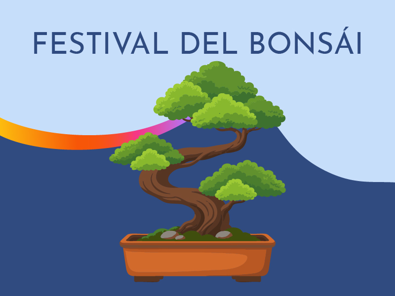 Festival del Bonsái