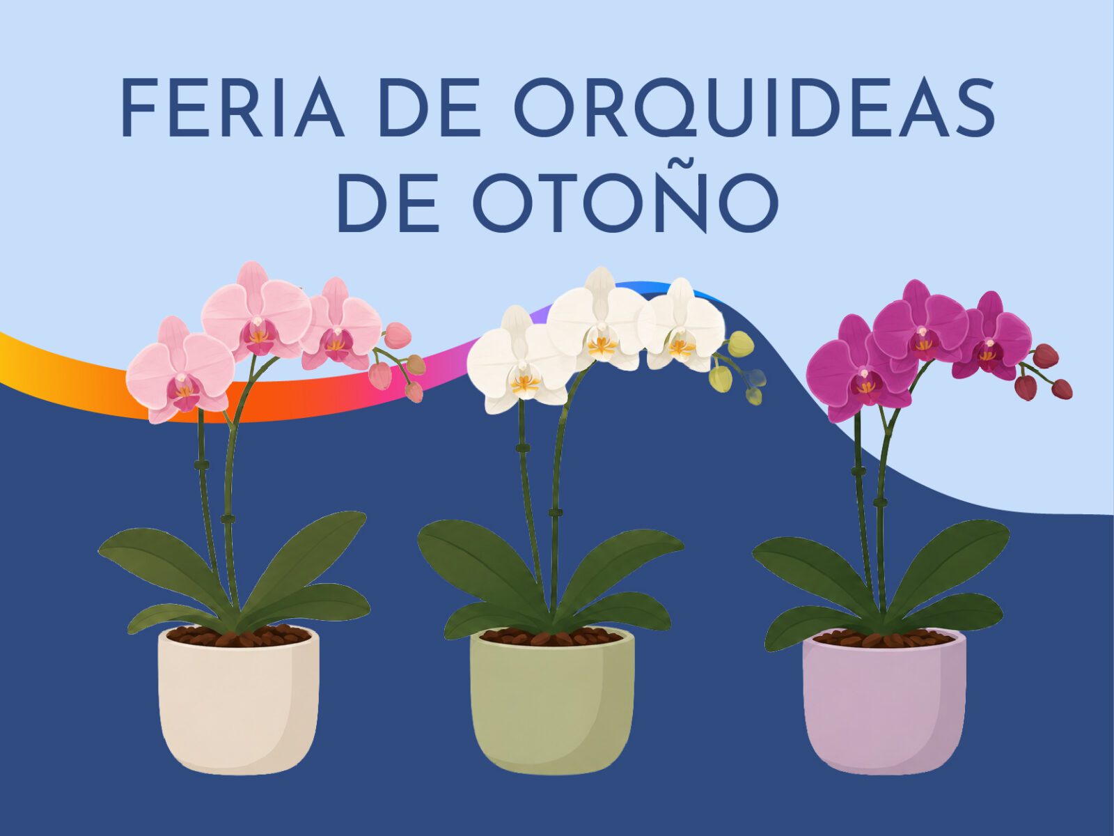 Feria de Orquídeas de Otoño