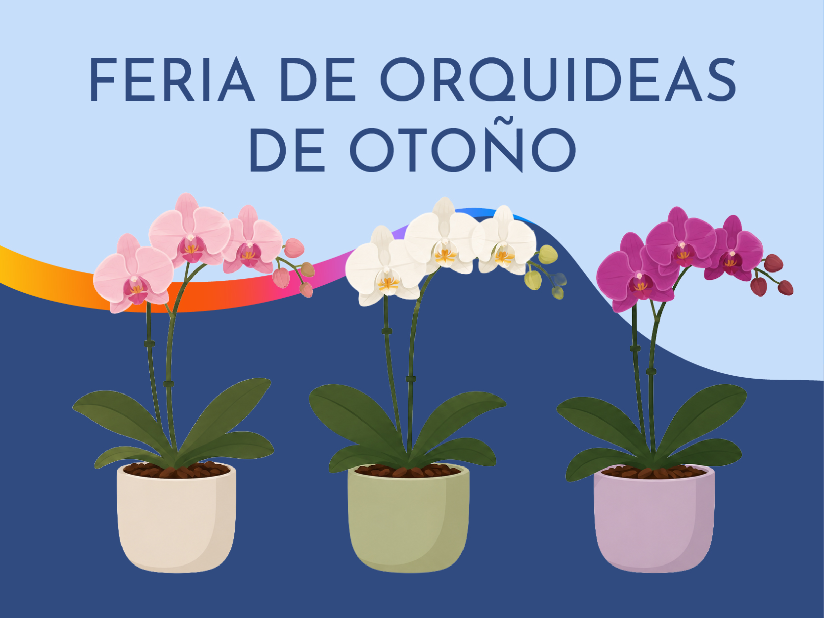 Feria de Orquídeas de Otoño